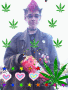 ShizzleDhizzle