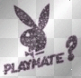 playmate (playboi)