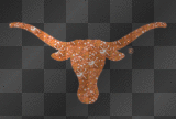 longhorns