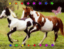 horse 
