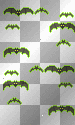 flying bats