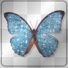 buttahfly =P