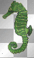 Green Seahorse