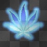 blue weed
