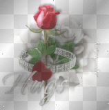 Red rose, ring, hugs