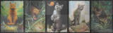 Warrior Cats