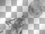 Wolf and Moon