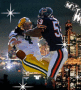 bears favre