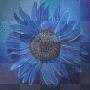 blue flower