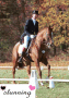 Dressage