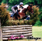 Paint horse eventer
