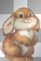 blinking bunny
