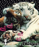 AnGeLs 4 ..::Ciffe::.. E lE aMiKe DeI rEgAlInI