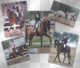 Dressage pics