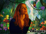 Enchanted Forest