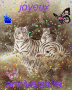 tigres