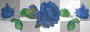 bluerose