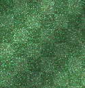 DARK GRREEN BACK GROUND