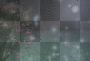 stars