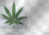 smacked