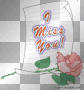 miss