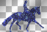 Dressage Horse