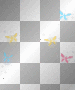 butterflies