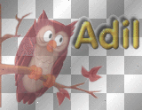 adil name
