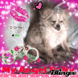 my lil angel