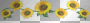 *Love~Sunflowers!*