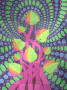 coloful shrooms