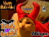 Mini Halloween