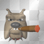 cigar bulldog