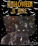 Halloween is here!! 