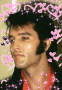 Elvis Aaron Presley