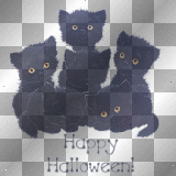 blk cats