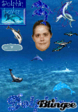 AMANDA DOLPHIN LOVER