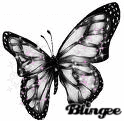 Jenni25255250