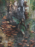 Fairy in a tree