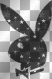 playboy bunny