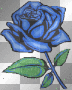 blue sparkle  flower