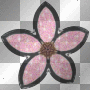 flower flower