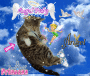 princess samira my cat