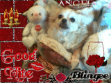 goodnite