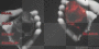 black and red roses