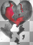 heart heart
