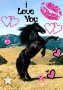 Frison