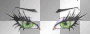 eyes