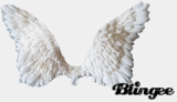 wing