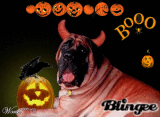 Halloween